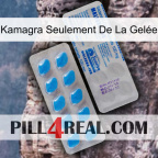 Kamagra Seulement De La Gelée new15